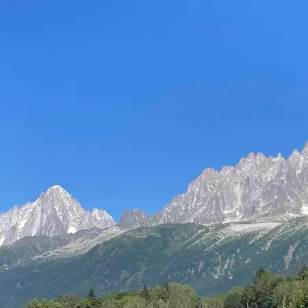 Studio 10min Chamonix, Avec Balcon Vue Aiguilles *